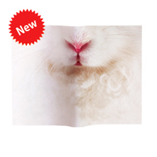 Animal Mask Book Cover Rabbit
