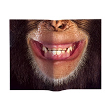 Animal Mask Book Cover Chimpanzee