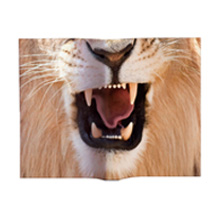 Animal Mask Book Cover Lion