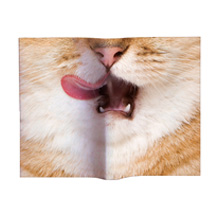 Animal Mask Book Cover Cat
